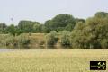 Bruchfeld des Braunkohle-Tiefbau zwischen Löberburg, Thie und Neu Staßfurt, Sachsen-Anhalt, (D) (9) Laaketeich 25.06.2005.jpg